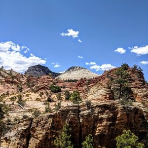 Meet your Posher, Regina